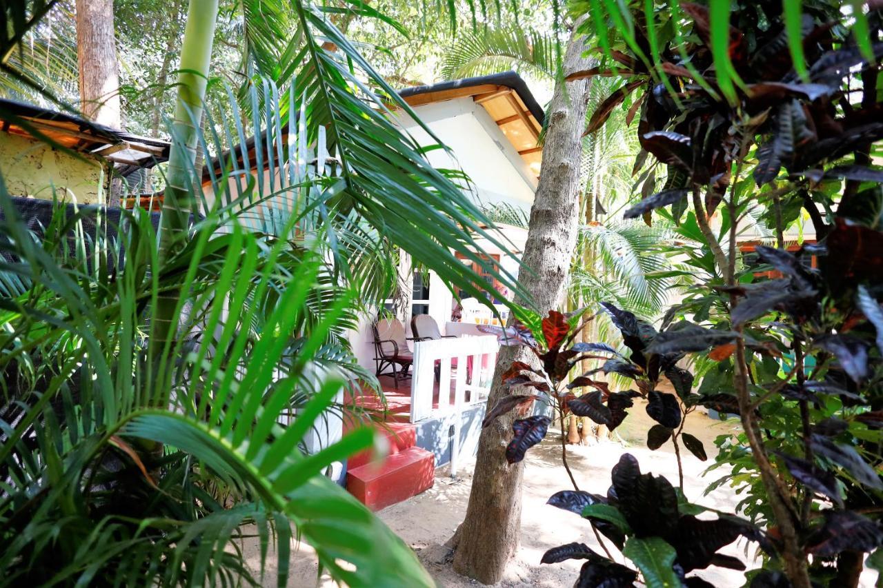 Temple Garden Seaside Cottages 帕罗林 外观 照片
